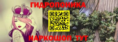 соль ск Обь