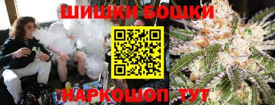 соль ск Обь