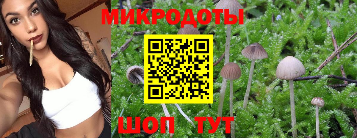 Сарапул  Псилоцибиновые грибы мицелий  Псилоцибиновые грибы Cubensis  как найти   Вход с VPN 