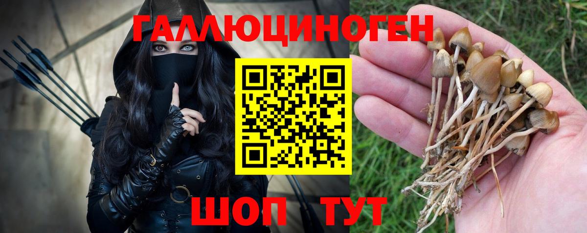 Галлюциногенные грибы MAGIC MUSHROOMS Сарапул